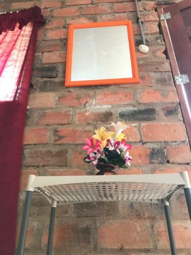 Hostal Ayahuaska