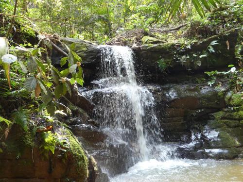 Hotel Qasikay Selva Lodge