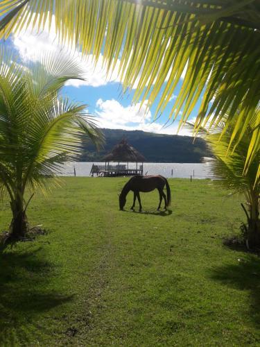 Hostal Villa Maria Lodge