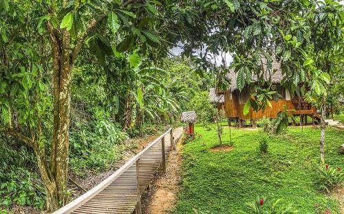 Tambopata Ecolodge