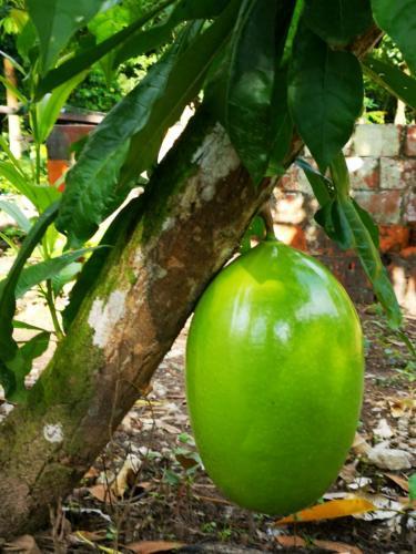 Agroturismo Ach Boutique