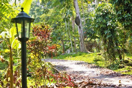 Lodge Hoja Verde Bungalows
