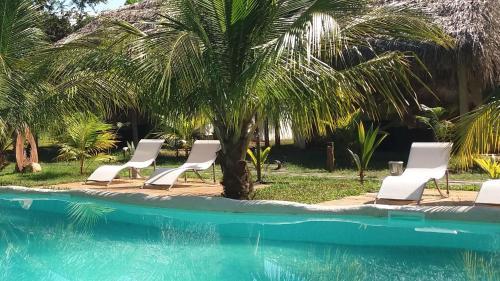 Hotel Coconut Tarapoto - Eco Bungalows & Lagoon Pool