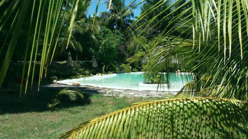 Hotel Coconut Tarapoto - Eco Bungalows & Lagoon Pool