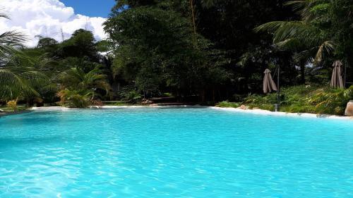 Hotel Coconut Tarapoto - Eco Bungalows & Lagoon Pool