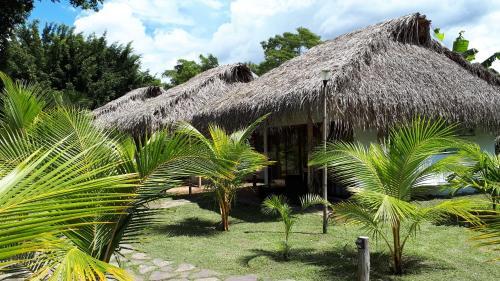 Hotel Coconut Tarapoto - Eco Bungalows & Lagoon Pool