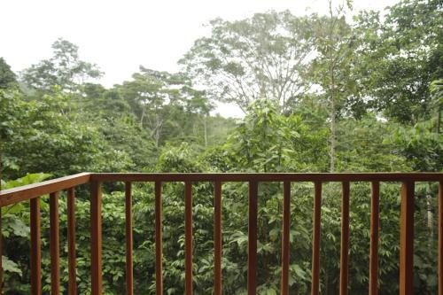Lodge La Musa Verde