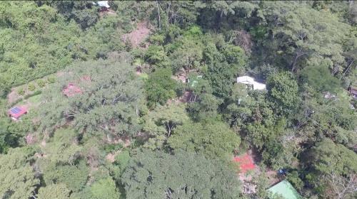 Lodge La Musa Verde