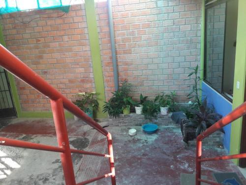Hostal Jungle Inc
