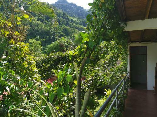 Vago Hostel - Home