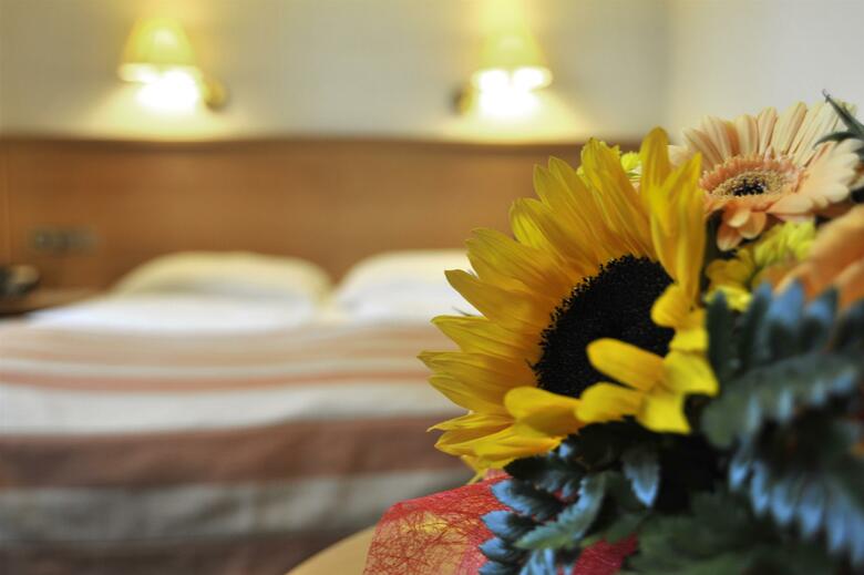Hotel Golden Tulip Central Molitor