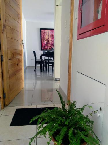 Tierra Verde Apartamento