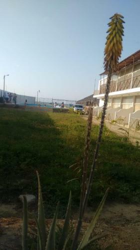 Hotel A Orillas Del Mar