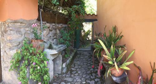 Hostal Amaruanka Guesthouse
