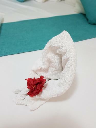 Hostal Bayahibe Guest House Hotel