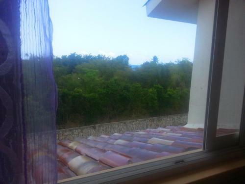 Apartamento Cadaqu�s Caribe Formentera 113