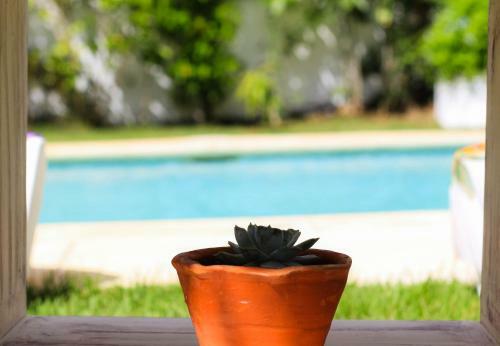 B&B Villa Rosa Dominicus
