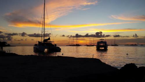 B&B Villa Rosa Dominicus