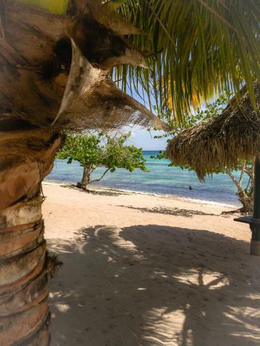 Cadaques Caribe Apartamento