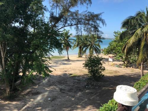 Bed & Breakfast Luz De Luna Ocean Dreams