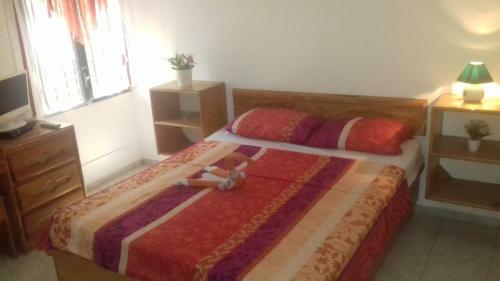 Hostal Casa Picadilly