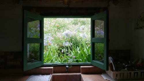 Hotel Villa Pajon Eco Lodge