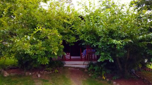 Hotel Villa Pajon Eco Lodge