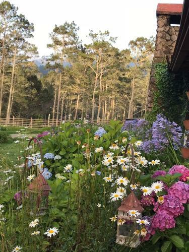 Hotel Villa Pajon Eco Lodge