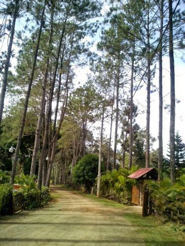 Villa Pinales De Buena Vista