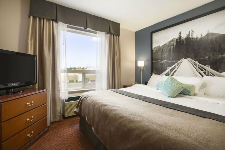 Hotel Super 8 Whitecourt