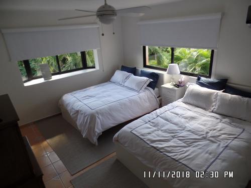 Villa Vivero II - No8