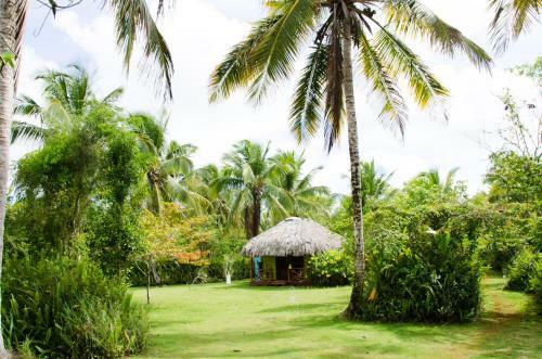 Bed & Breakfast Aventura Rincon Ecolodge