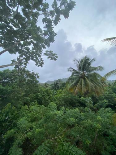 Bed & Breakfast Aventura Rincon Ecolodge