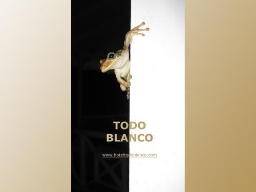 Hotel Todo Blanco