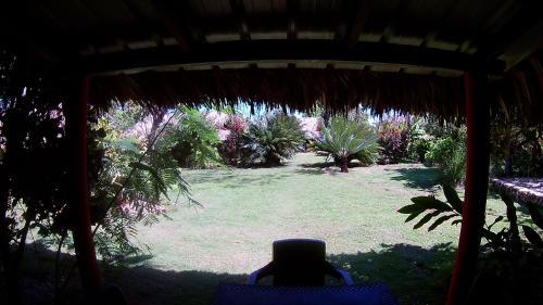 Hostal La Junglita