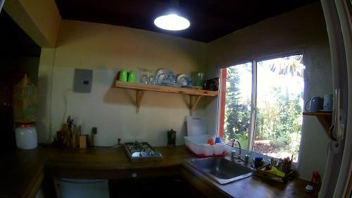 Hostal La Junglita