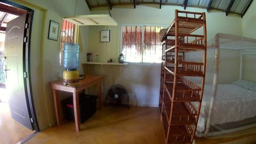 Hostal La Junglita