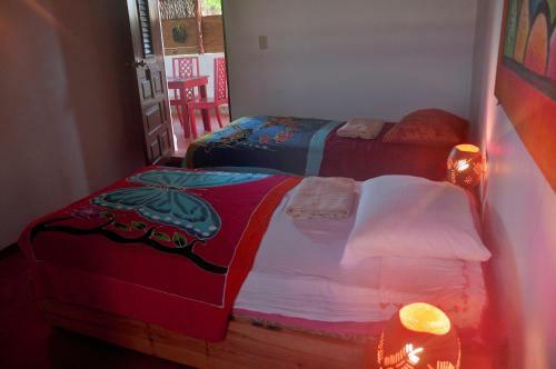 Hostel La Ballena Backpacker