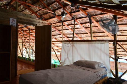 Hostel La Ballena Backpacker