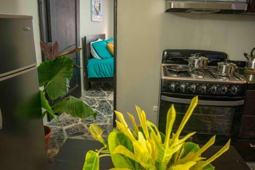 Apartamento On The Road Aprrtments