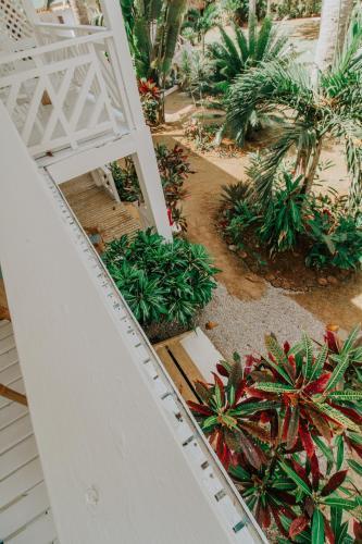 El Mosquito Boutique Hotel