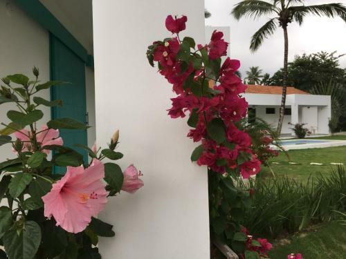 Villa Coralillo 7a
