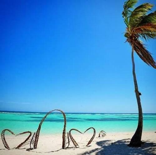 Apartamento Appartement Face � La Mer