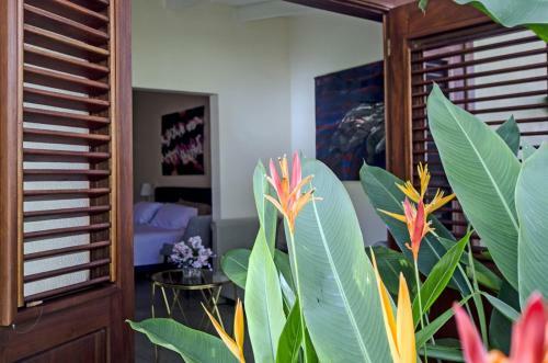 Bed & Breakfast Shambala House