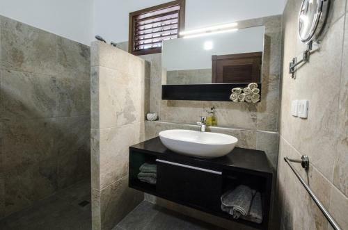 Bed & Breakfast Shambala House