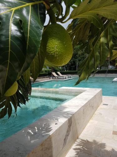 Apartamento Monserrat2