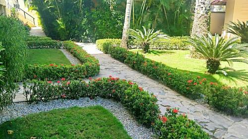 Apartamento La Dolce Vita #12, Las Terrenas