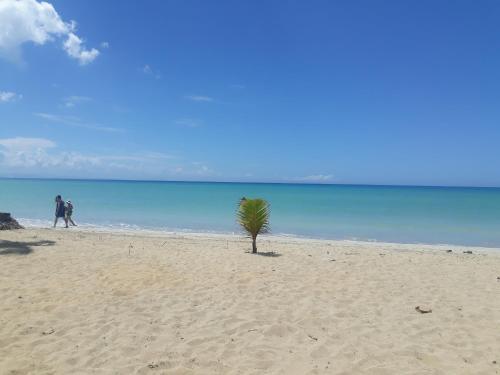 Villa Las Marinas