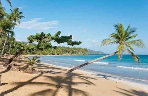 Villa Paloma Playa Ballenas