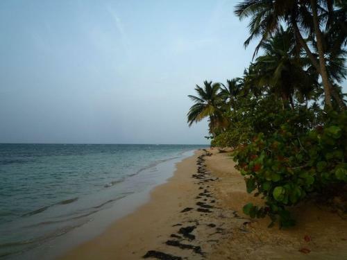 Apartamento Appartement Et Plage